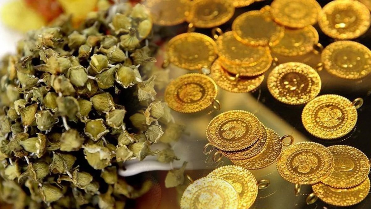 Kliosu gram altını solladı! Toprak gördüğünüz yere ekin: 3 bin 500 TL'ye satılıyor...