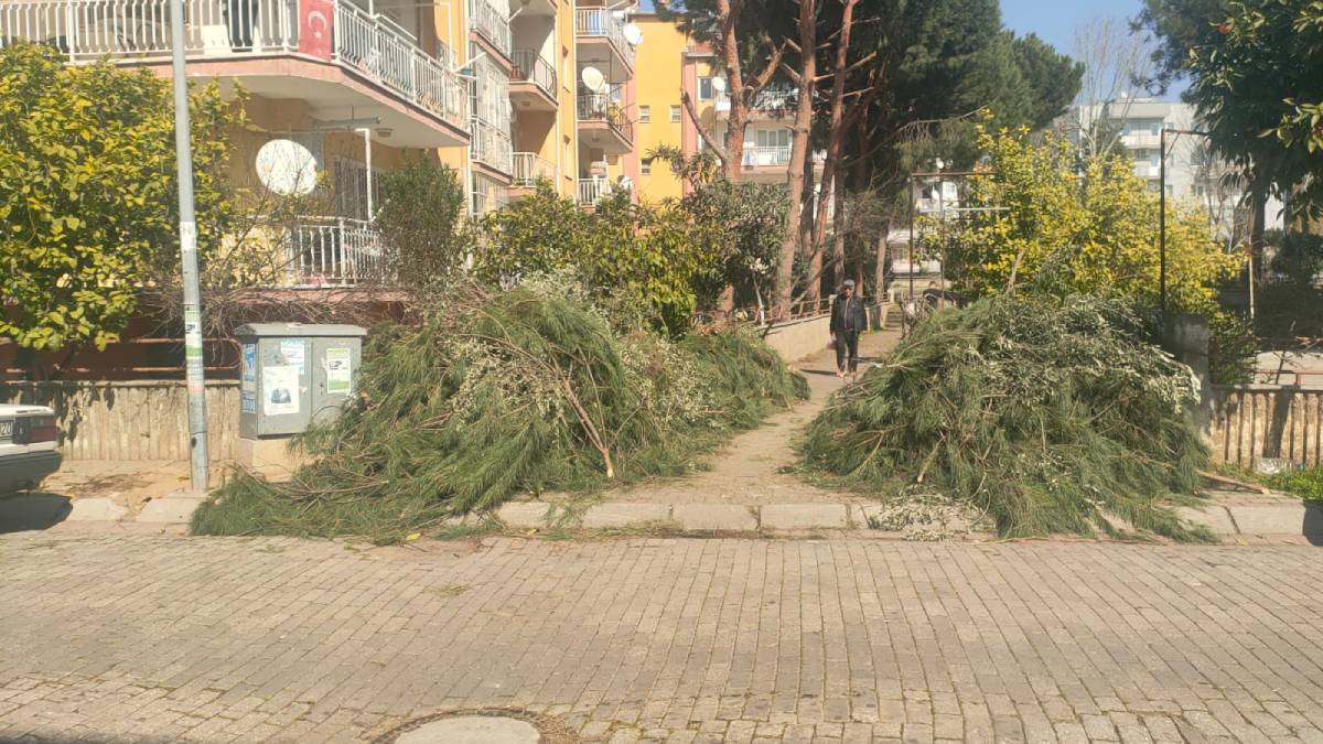 Efeler Belediyesinden budama atıkları uyarısı