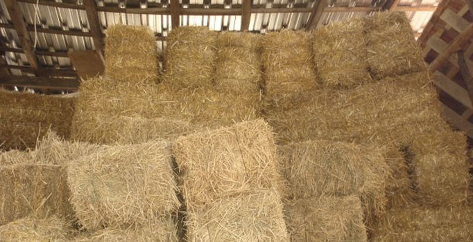 FETÖ’nün imamı Isparta'da samanlıkta yakalandı