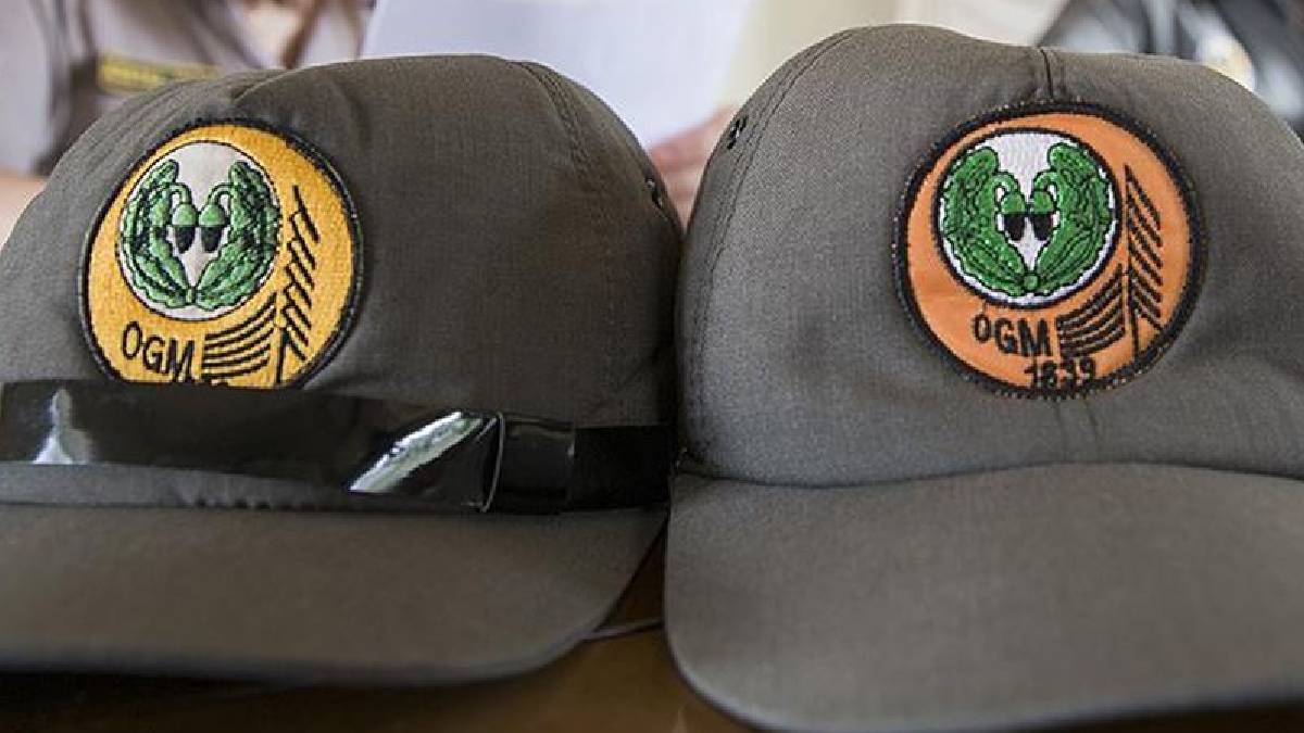 Resmi Gazete'de yayımlandı: Orman Genel Müdürlüğü 4 bin 500 geçici işçi alacak