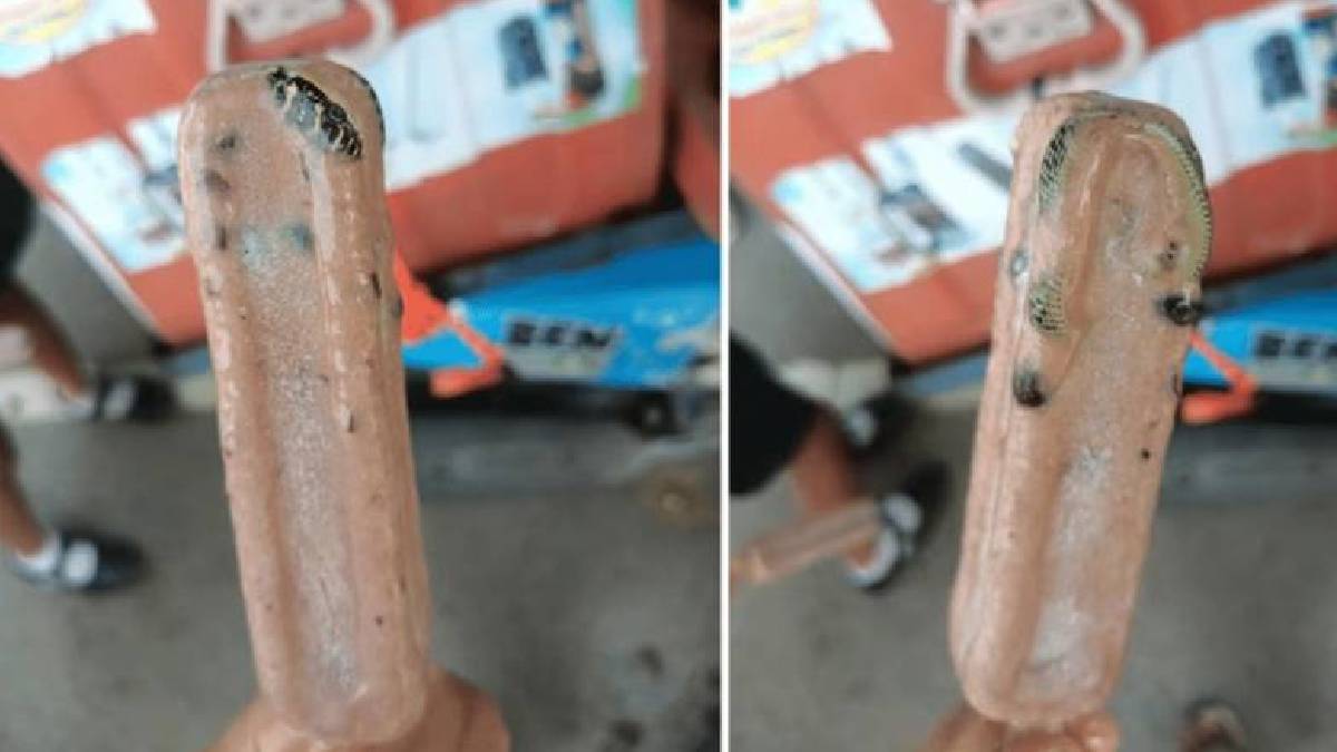 Aldığı dondurmanın içinden yılan çıktı