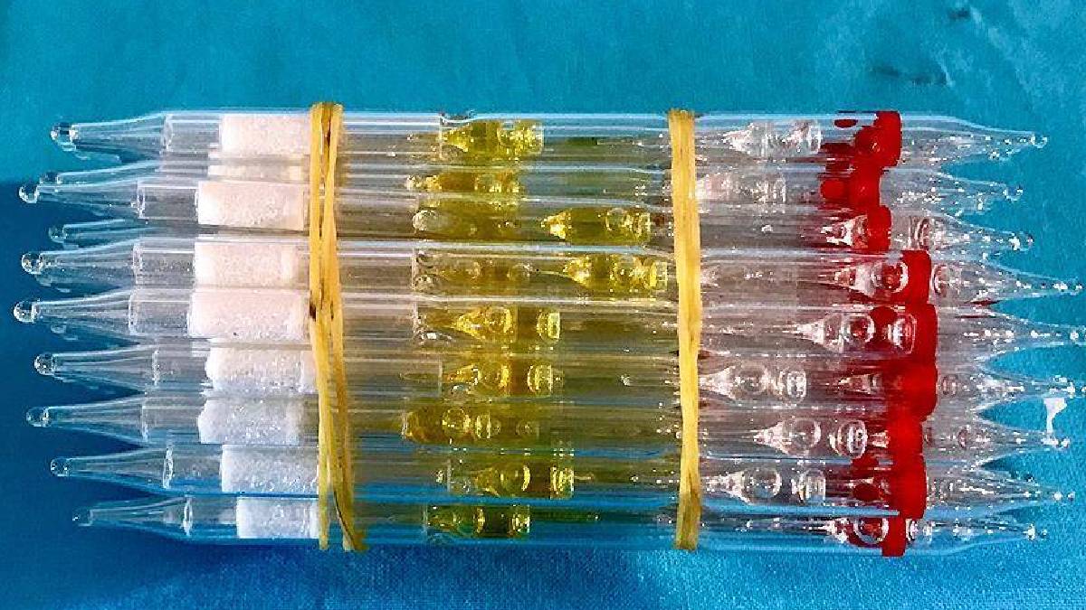 Ankara'da 19 tüp kobra zehri ele geçirildi