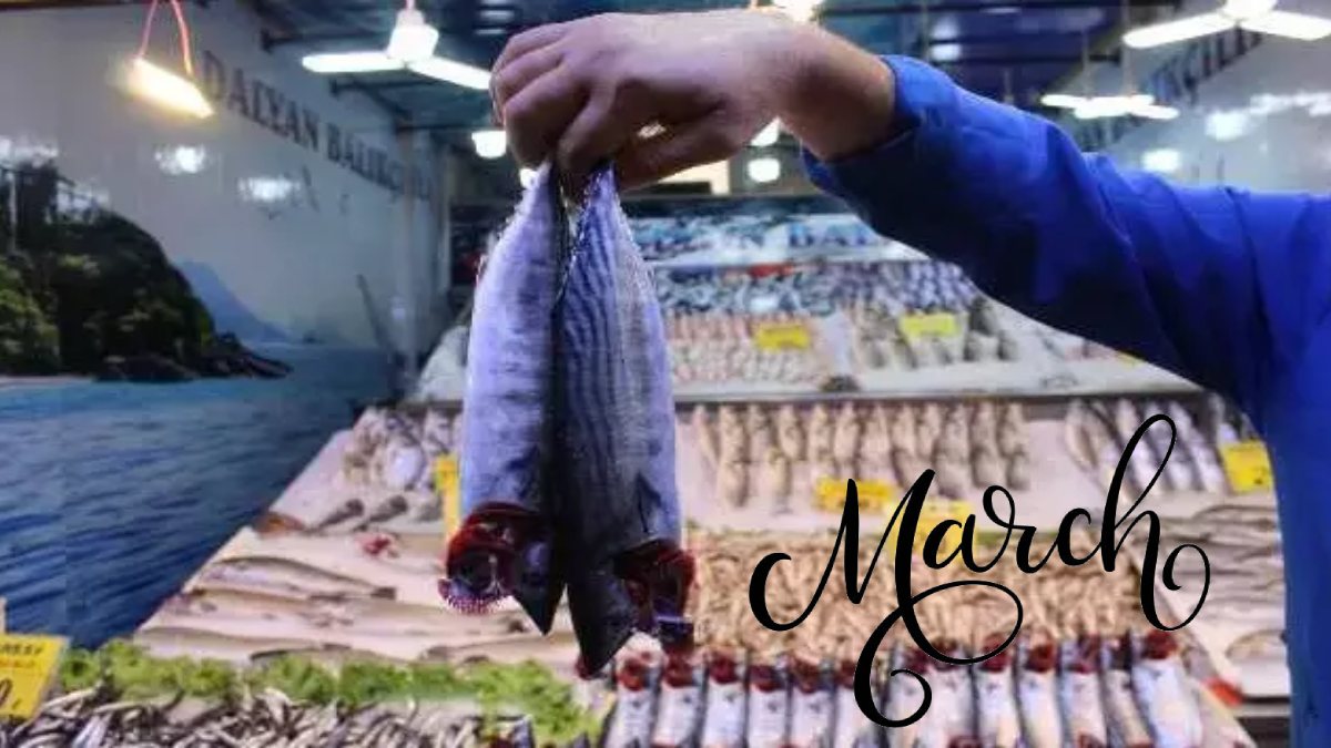 Balıktan vazgeçemeyenler için Mart tavsiyesi! Bu ayda hangileri tüketilmeli? İşte Mart ayının balıkları