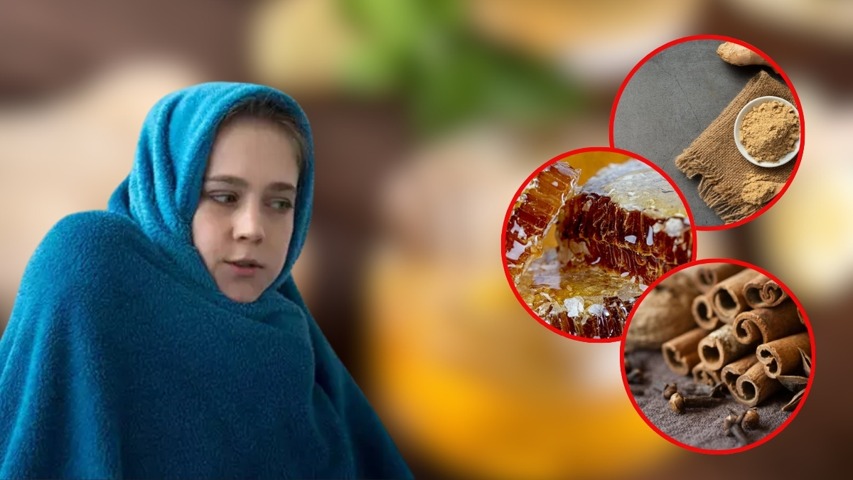 Vücudu soba gibi ısıtıyor, kan dolaşımını düzenliyor! Herkes pekmez derken asıl bunlar işe yarıyor: İşte vücut dostu o besinler