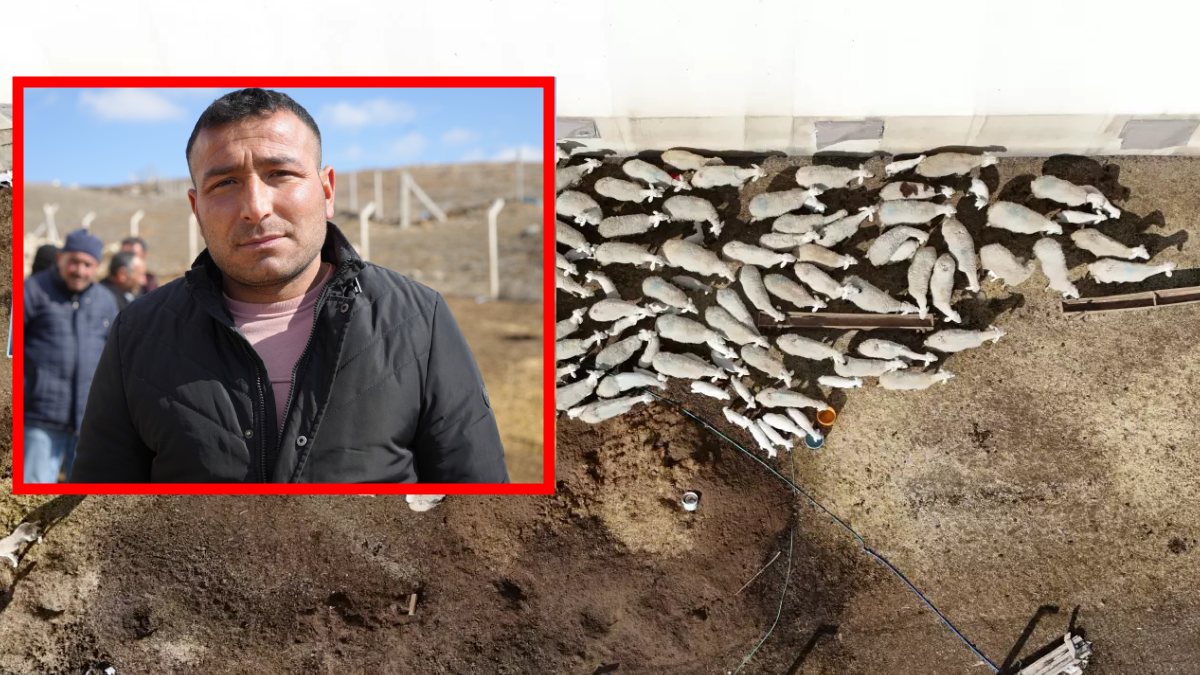 Şehir hayatına adapte olamadı, 5 ayda köyüne döndü! Kendi üretiyor, kendi satıyor: Mutluluğun keyfini çıkarıyor