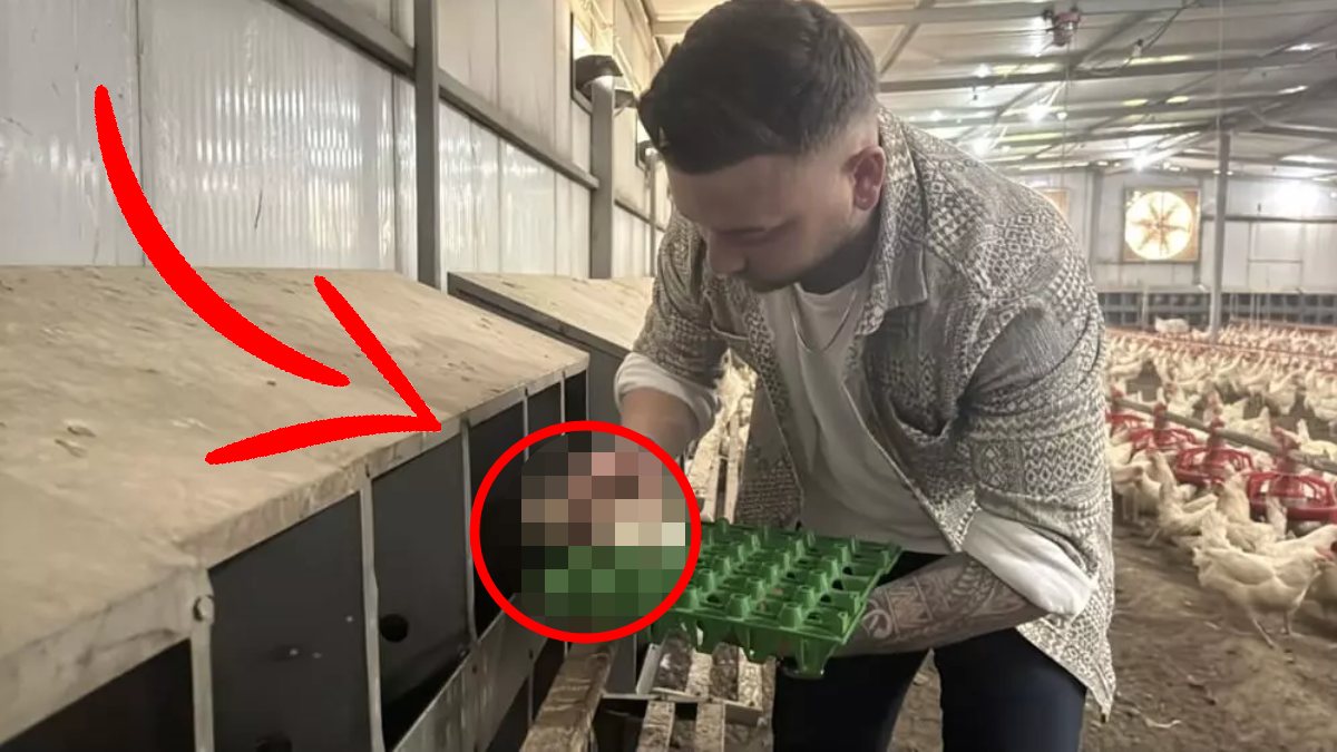 Devlet destekledi o 18 yaşında kurdu! Günde 12.000'den fazla üretiyor, zincir marketler kapışıyor