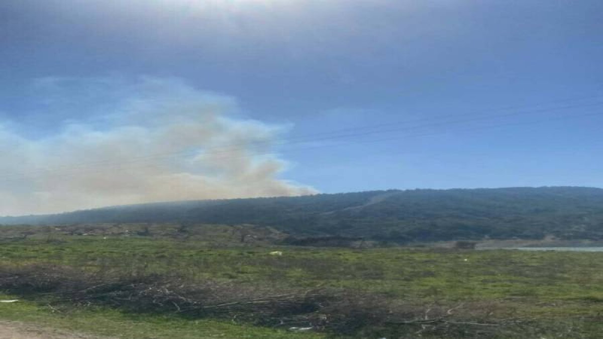 Çanakkale Gelibolu'da orman yangını
