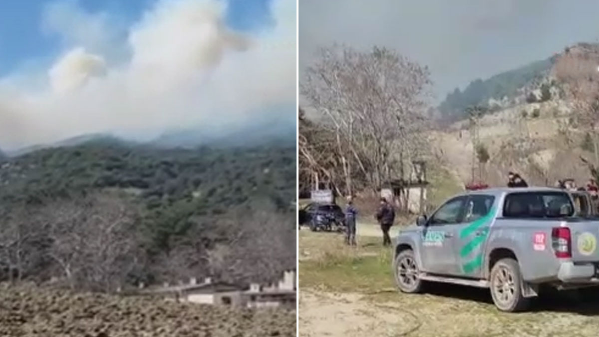 Çanakkale’de orman yangını