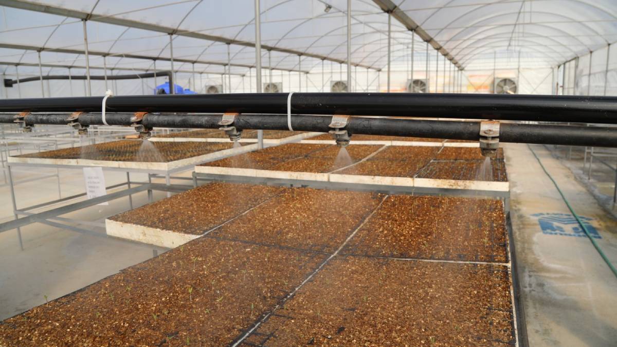 Nurcan Zeyrek, müjdeyi verdi: Kursiyerler aile bütçesine katkı sağlayabilecek