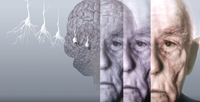 Dr. Yaprak Alper: Akdeniz mutfağına Alzheimer girmez