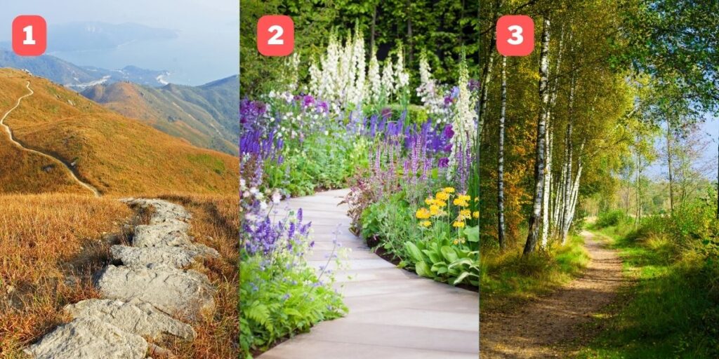 Kişilik testi: Doğadaki bu yollardan birini keşfederek gerçek benliğinizi keşfedin!