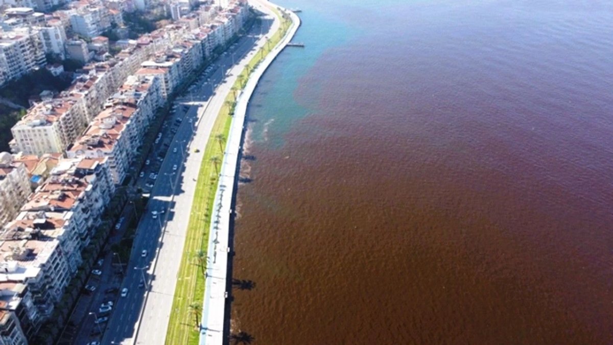 İzmir Körfezi'ne atık su boşaltılıyor! Bakanlık İZSU'ya ceza kesti