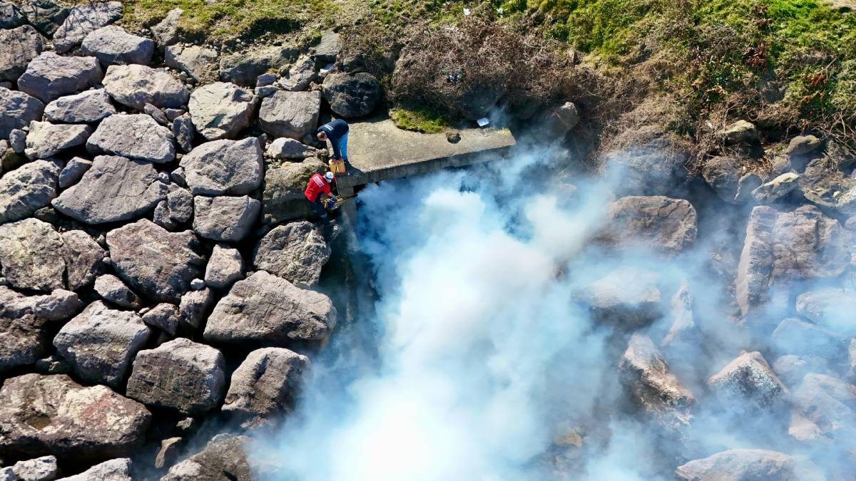 Sivrisinek ve karasinekler üreme kaynağında kurutuluyor