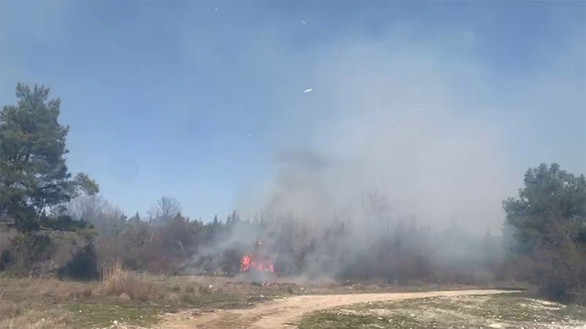Bursa'da orman yangını! İtfaiye ekipleri müdahale etti