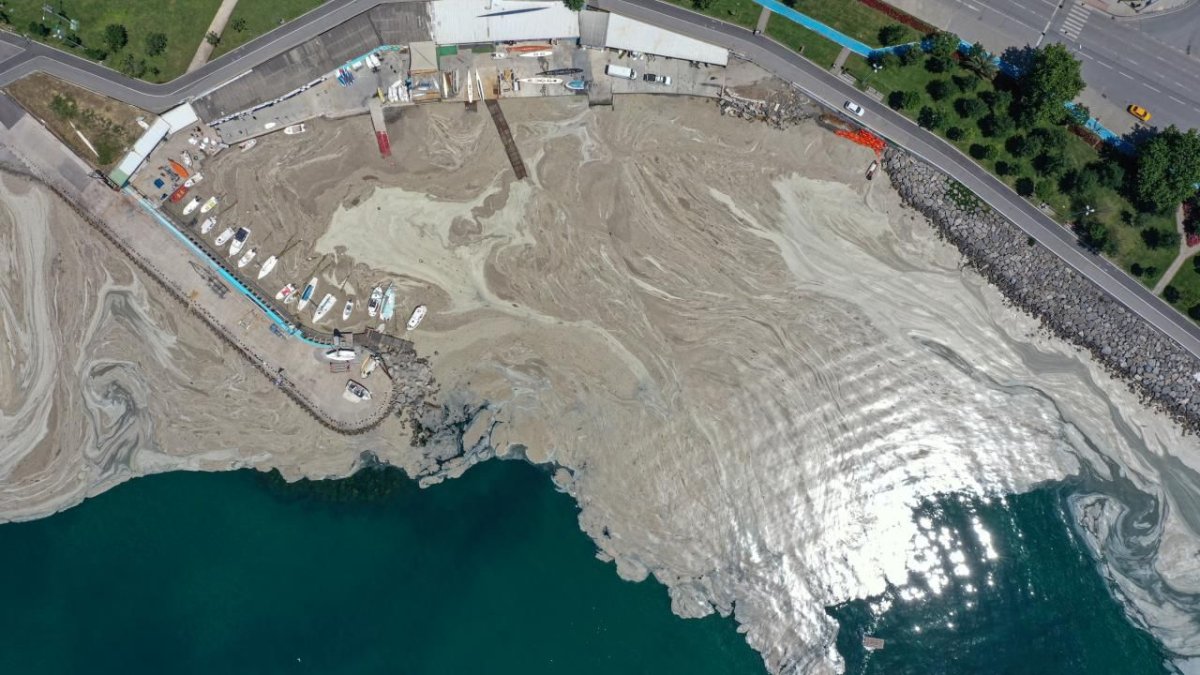 Marmara yeniden müsilaj tehdidiyle karşı karşıya: Deniz altında göz gözü görmüyor