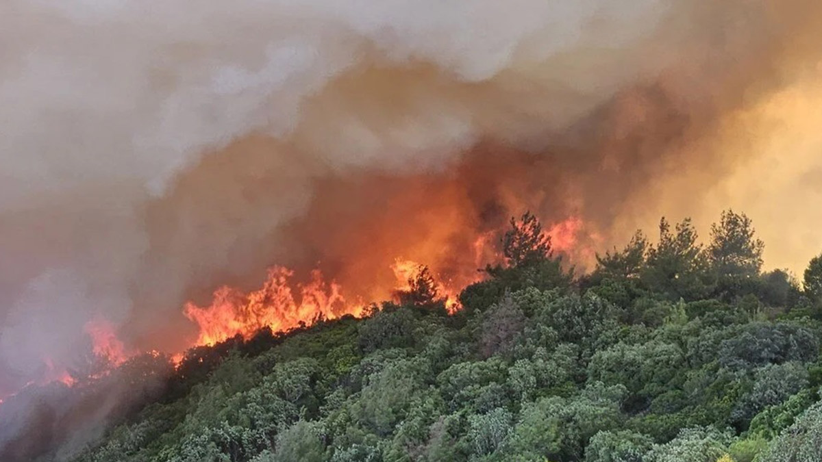 Sıcaklık ve yağış artışı Türkiye'yi tehdit ediyor... Orman yangınları kapıda