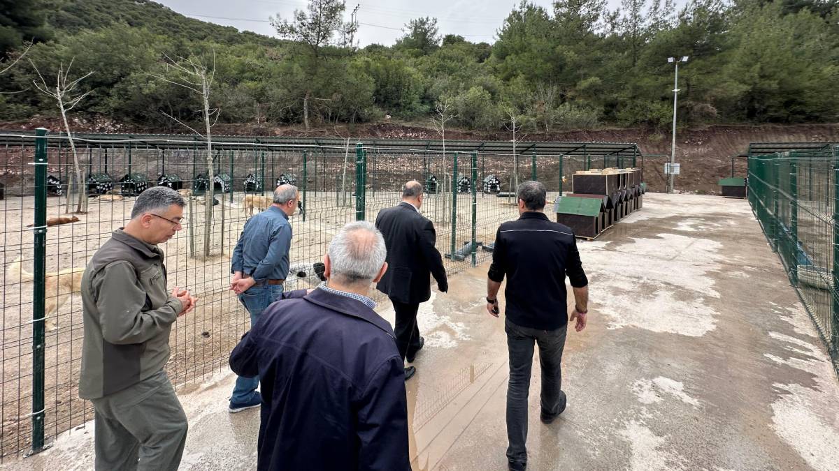 Bakanlık, Bilecik Belediyesi Sokak Hayvanları Tedavi ve Rehabilitasyon Merkezi'nde incelemelerde bulundu