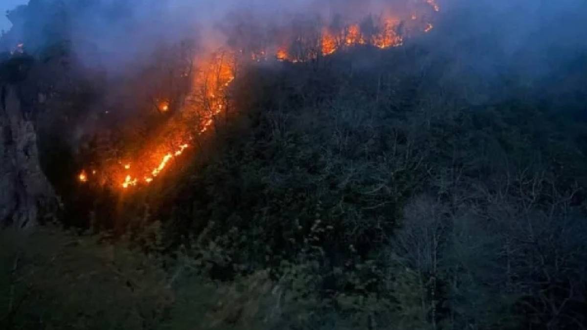 Giresun’da orman yangını: ‘Köylü yorgan yaktı’ iddiası