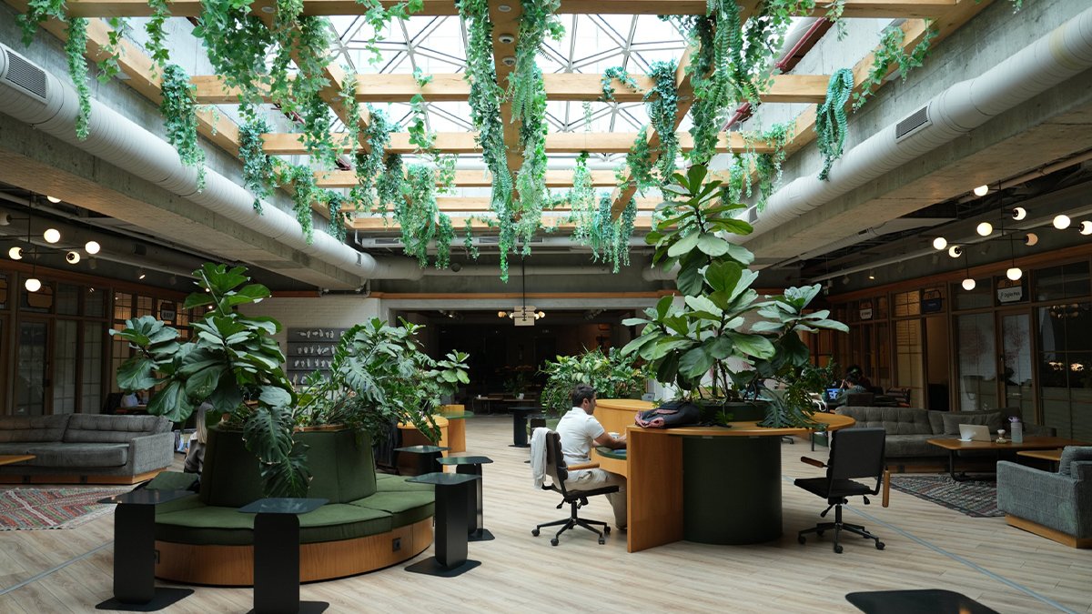 10 yıldır özgürce üretmenin ve ilhamın adresi: Kolektif House