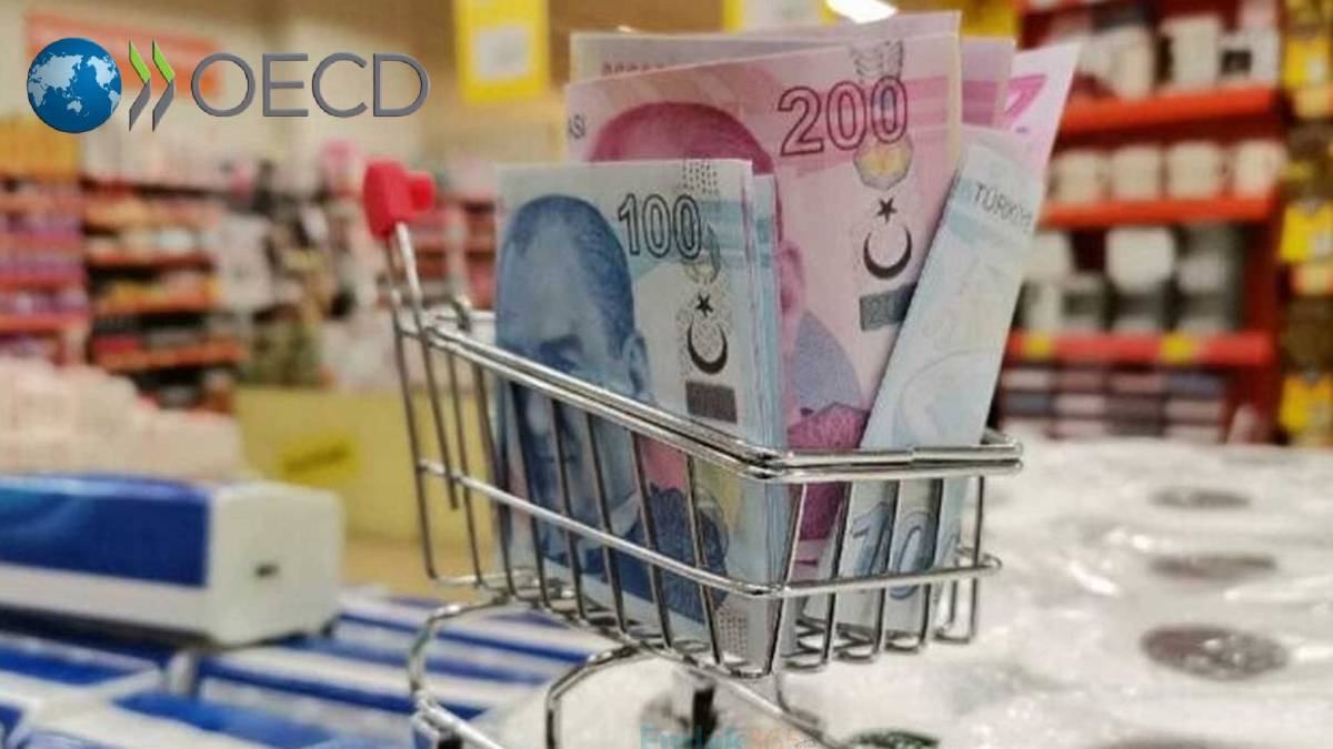 OECD'den Türkiye için 2025 büyüme güncellemesi: Enflasyon tahmini yükseldi