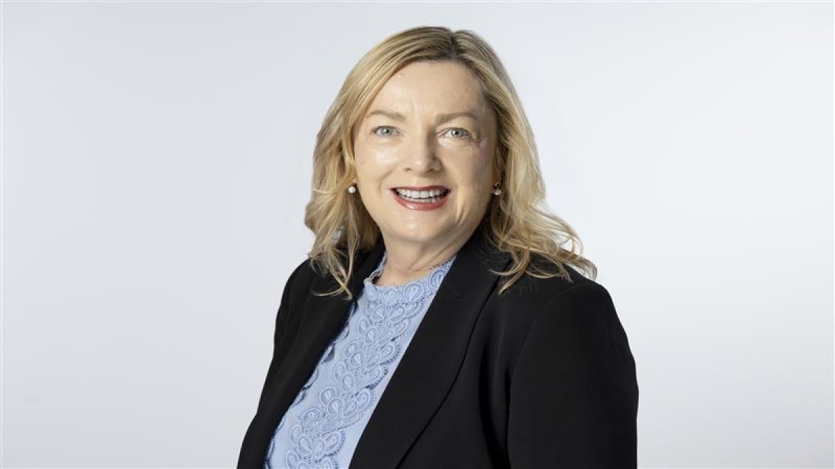 Yıldız Ventures destekli pladis hızlandırma programı başlıyor