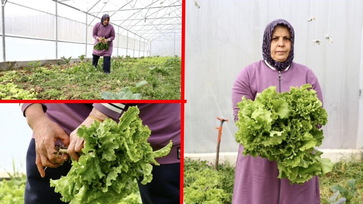 Emekli oldu, devlet desteğiyle yeni işe atıldı! Kadın girişimcilerin sayısı çoğalıyor: Hayalini kurduğu günleri yaşıyor