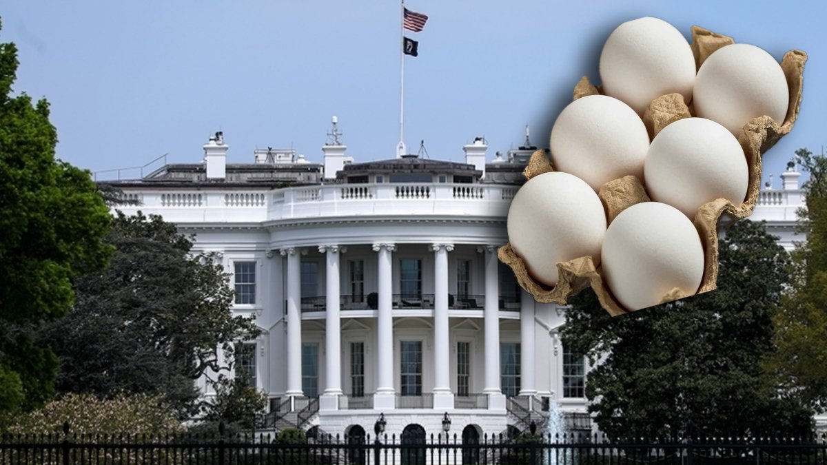 Beyaz Saray: Yumurta krizinin sebebi Biden