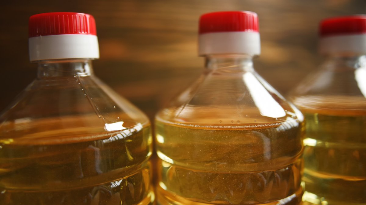 Manisalılar bu tarihi kaçırmayın! Atık yağlarını götüren hediyesini alıp dönüyor