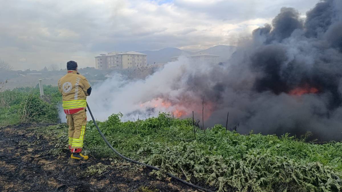 Taviz yok, cezai yaptırım uygulanıyor!