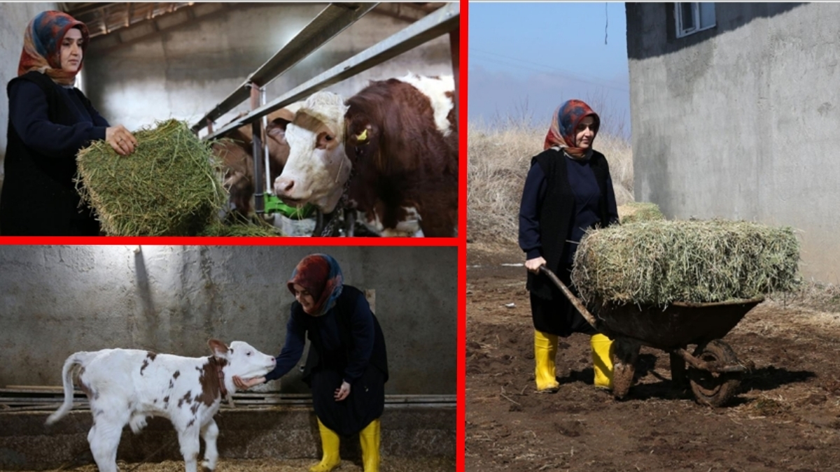 Bakanlığın hibe desteği ile başladı, kadınlara ilham oldu! 2 yılda 6’ya katladı: Şimdi hayallerini yaşıyor