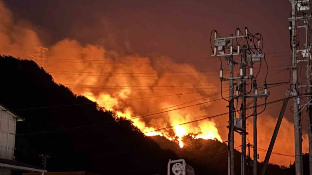 Japonya'da yangın felaketi: 2 eyalet alevlere teslim, 900 kişiye tahliye uyarısı