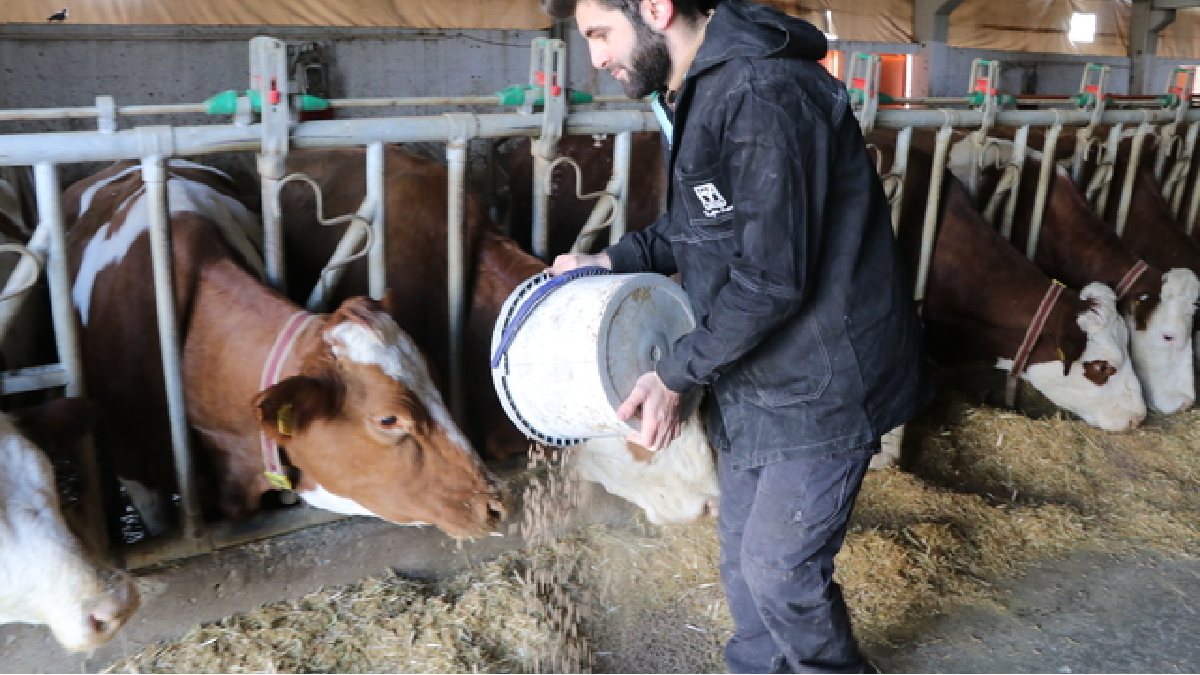 Ankara’daki kariyerini bıraktı, köyüne kaçtı! Devlet destekledi o yetiştirdi: Şimdi günde 1 ton üretime ulaştı