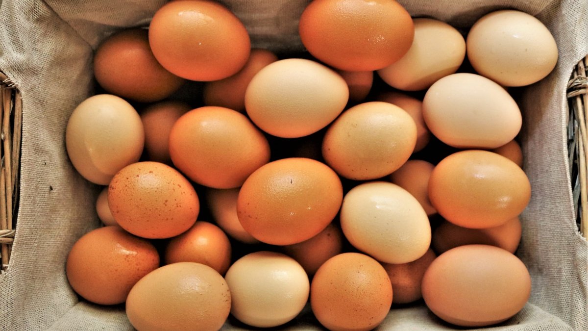 Sofralık yumurta ihracatında fon kesintisi artırıldı