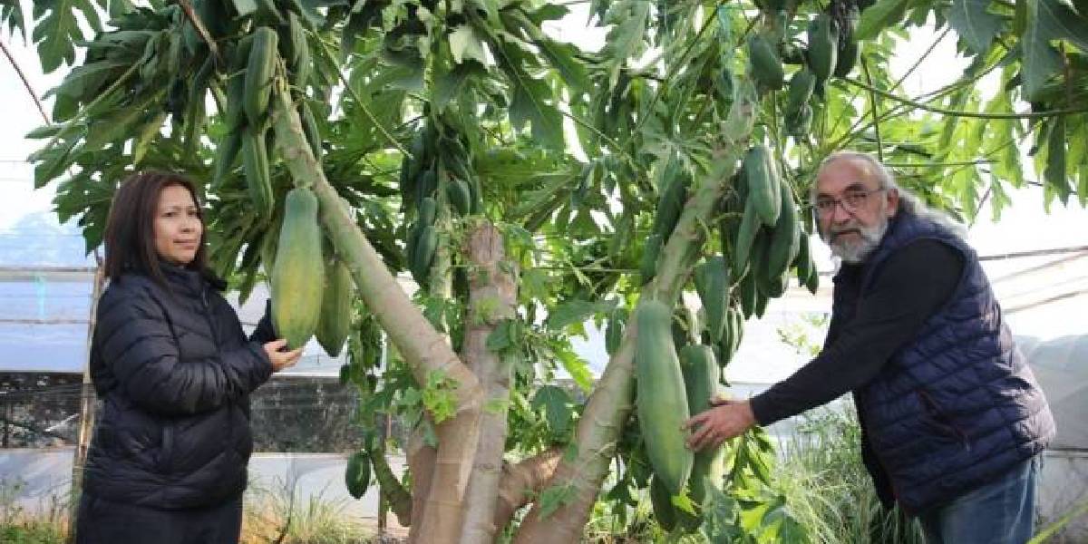 Eşi seviyor diye üretmeye başladı, neredeyse dünya markası haline geldi! Yurt dışına ihracat yapıyor, siparişlere yetişemiyor