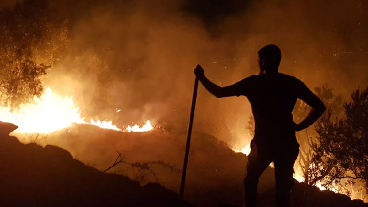 Güney Kore'deki orman yangınlarında ölü sayısı 27'ye yükseldi