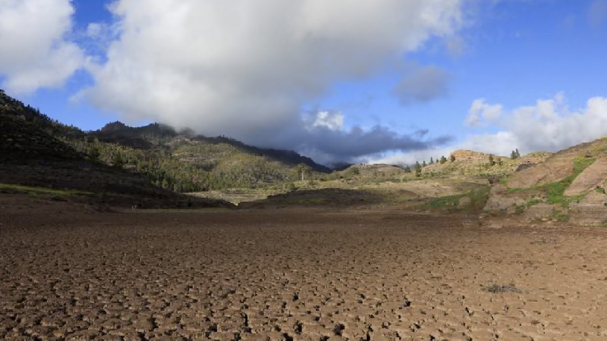 OECD: İklim kriziyle mücadele ekonomik büyümeyi artıracak