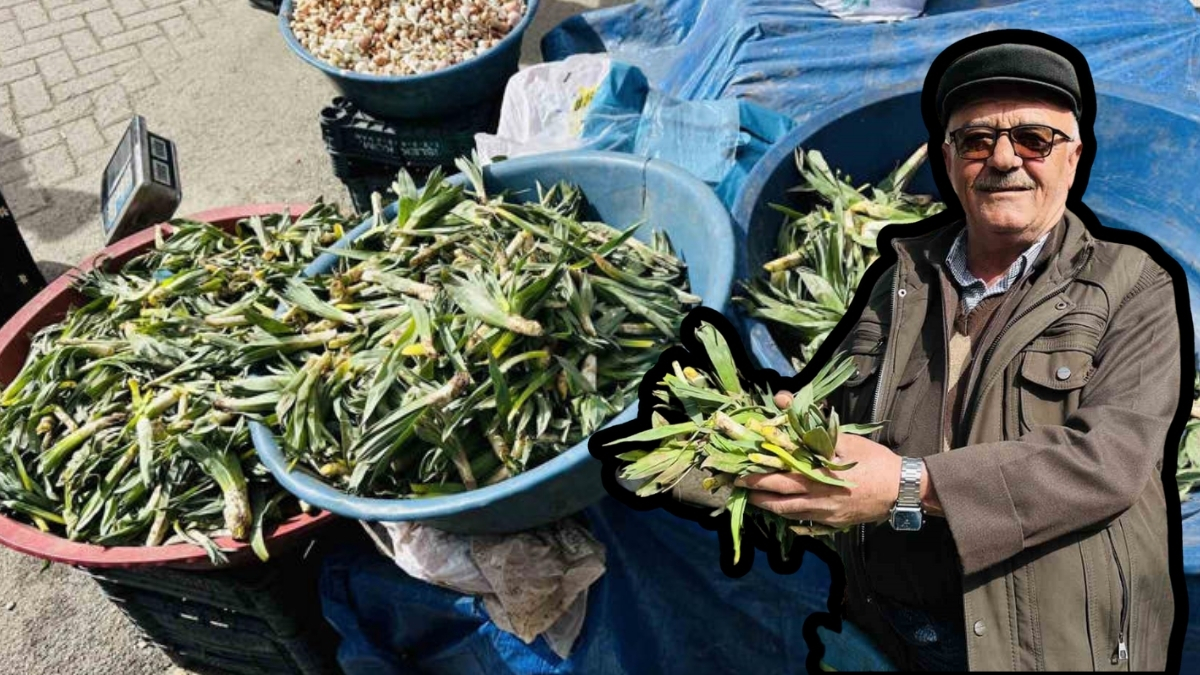 Dağların tepelerinde toplanıyor, tezgahta vatandaşla buluşuyor! Kilosu 50 liradan kapış kapış gidiyor: Doğal C vitamini