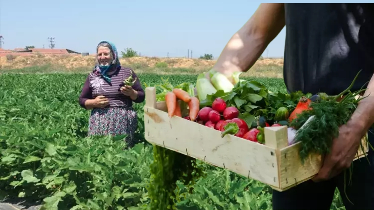 Akrabasından aldığı tohumu ekti, üretime başladı! Ürünlerine talep yağarken birçok ünlü isme de satış yaptı