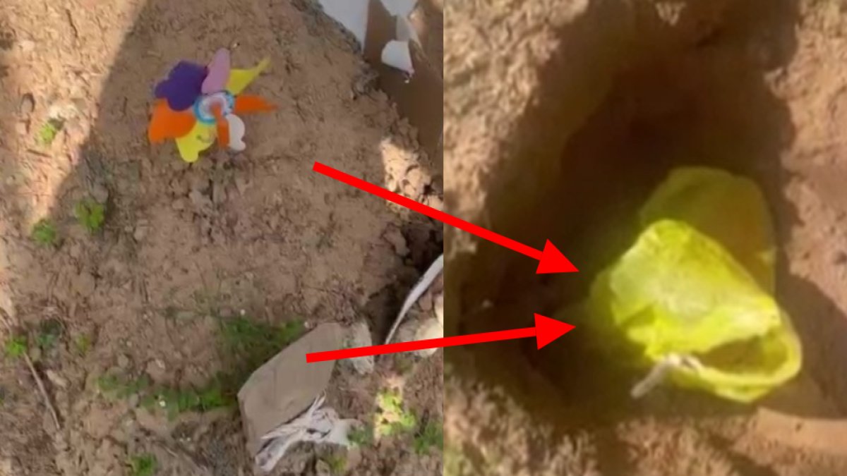 Annesinin mezarından şüphelendi! Toprağı kazınca şok oldu: Annesinin mezarına kedi gömmüşler