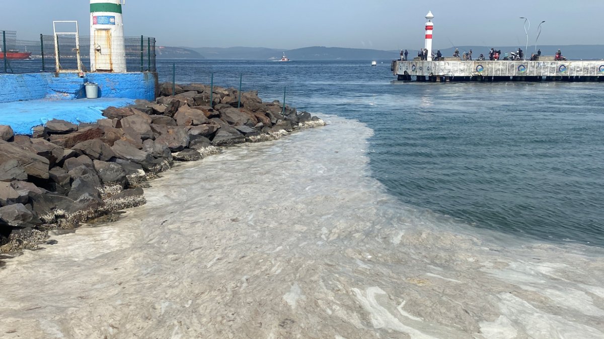 Çanakkale Boğazı'nda ortaya çıktı: 2020 yılından sonra yeniden etkisini gösterdi