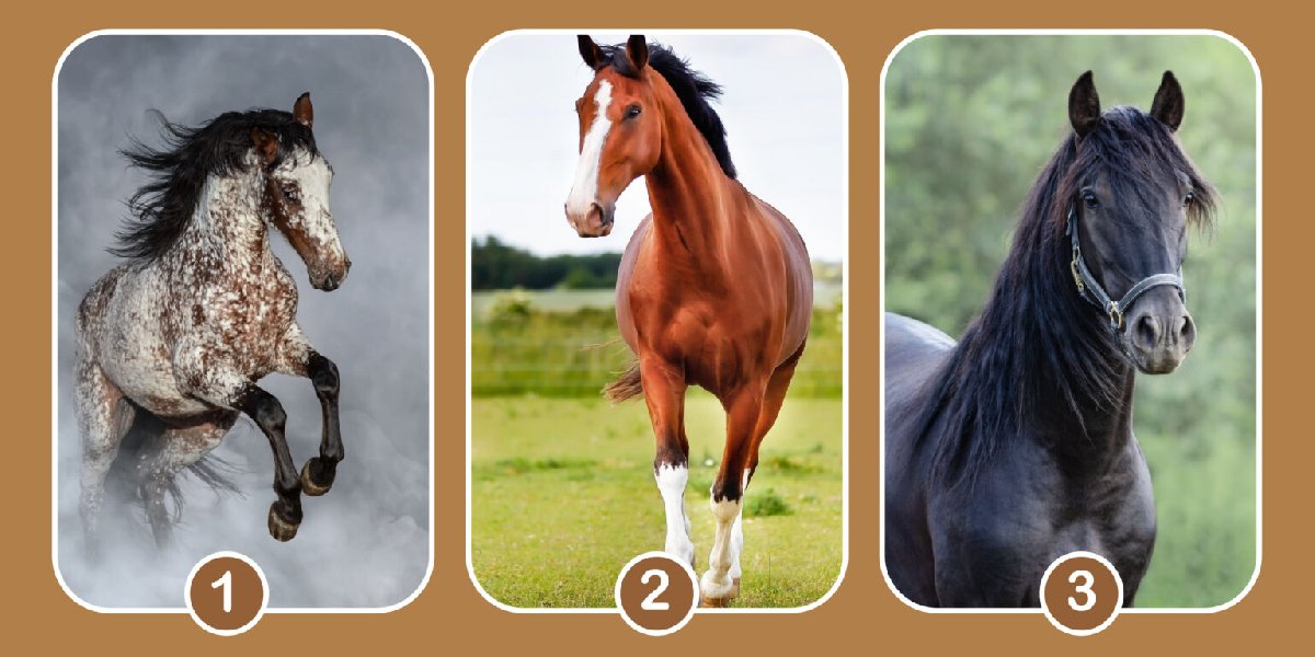 Kişilik testi: Arkadaşlıkta en iyi özelliğiniz nedir? Öğrenmek için bir at seçin!