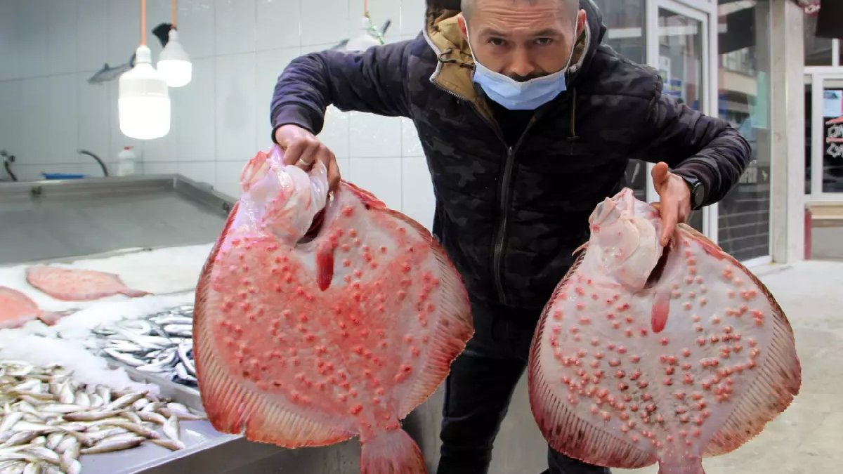 1300 TL’den satılıyordu 750 TL’ye satılmaya başladı! Fiyatını duyan oraya koşuyor