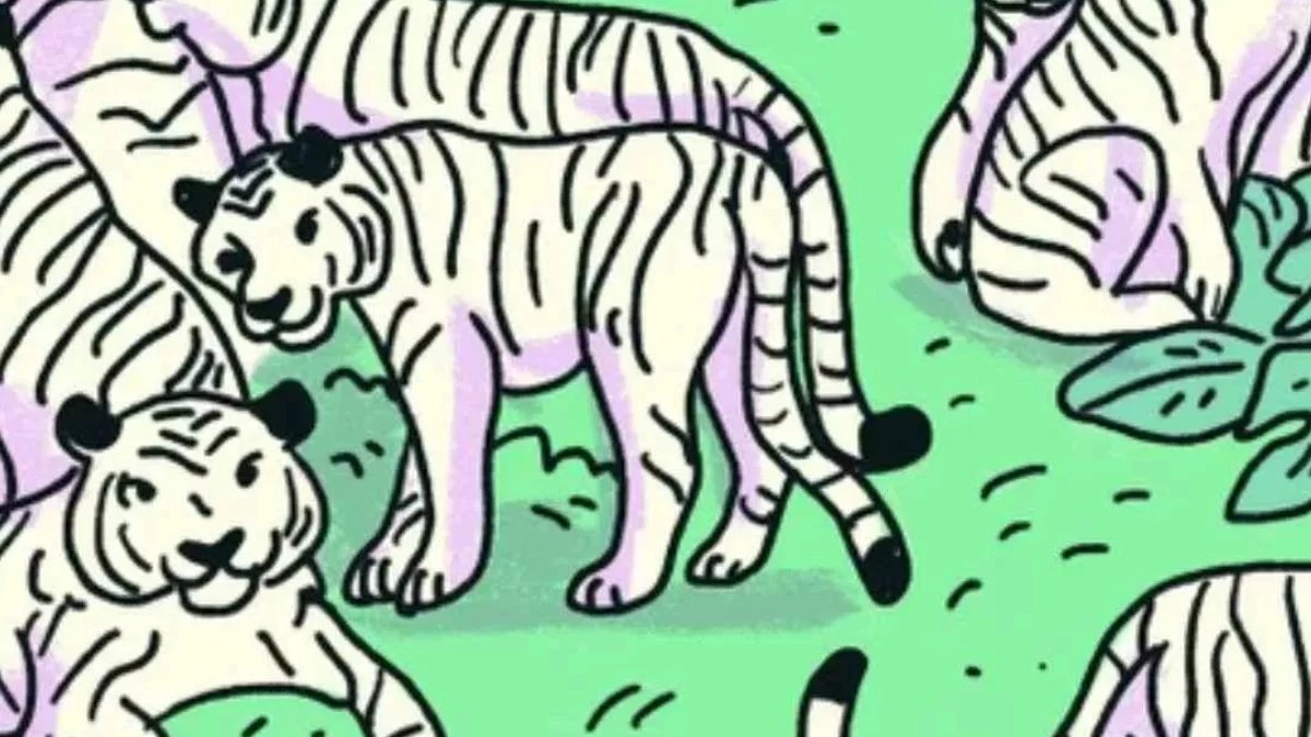 Gizli zebrayı bulmak için 3 saniyeniz var! Kendinizi denemenin tam zamanı!