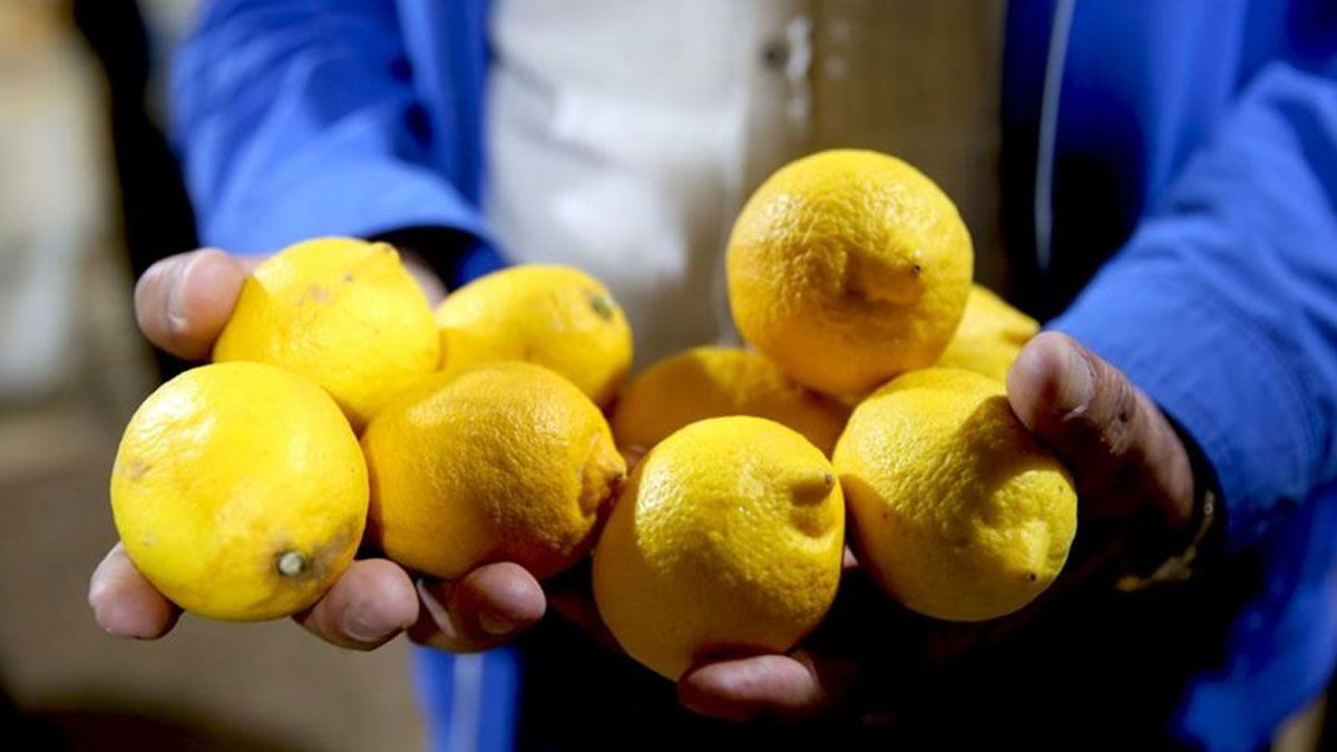 Martta gıda fiyatları tırmandı: Limon zam şampiyonu oldu