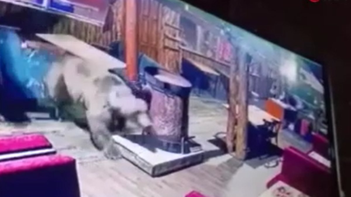 Bursa'da kapı pencere kapatın! Ayı her an kapınıza dayanabilir: İşletmenin içine ayı girdi