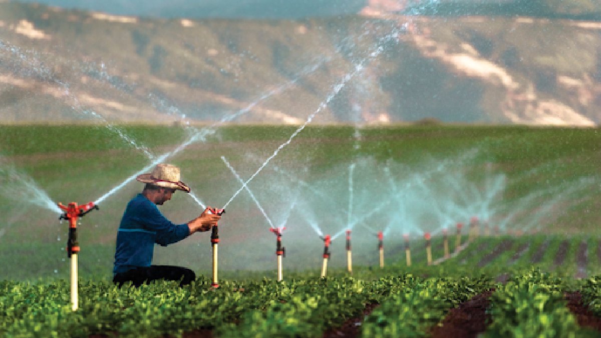 Çiftçilere bayram sonu müjdesi! Belediye açıkladı: Bayram sonrası dağıtılacak