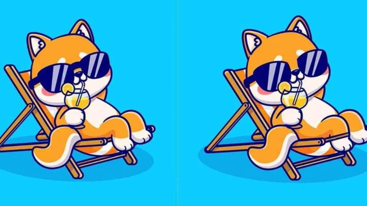 Şezlong keyfi yapan tilkiler arasındaki farkları kimse göremiyor! 14 saniyede 3 farkı bulmaya var mısınız?