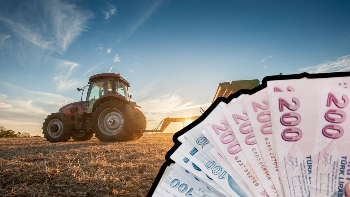 Tarım sektörü ciddi tehlikede! Borçlar ödenemeyince tarlalar icradan satışa çıktı: Mart ayında 2.937 tarla satışa çıkarıldı