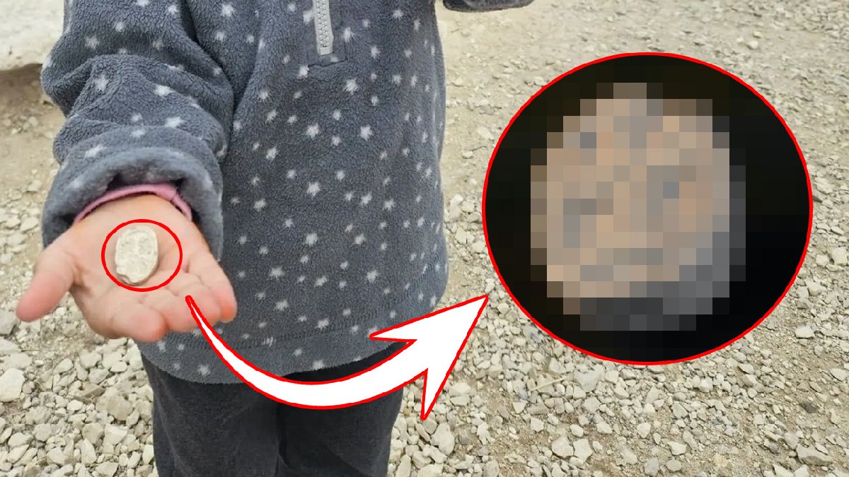 3 yaşındaki çocuk 3.800 yıllık kayıp hazineyi buldu! Dışarda oynarken keşfetti: Paha biçilemiyor