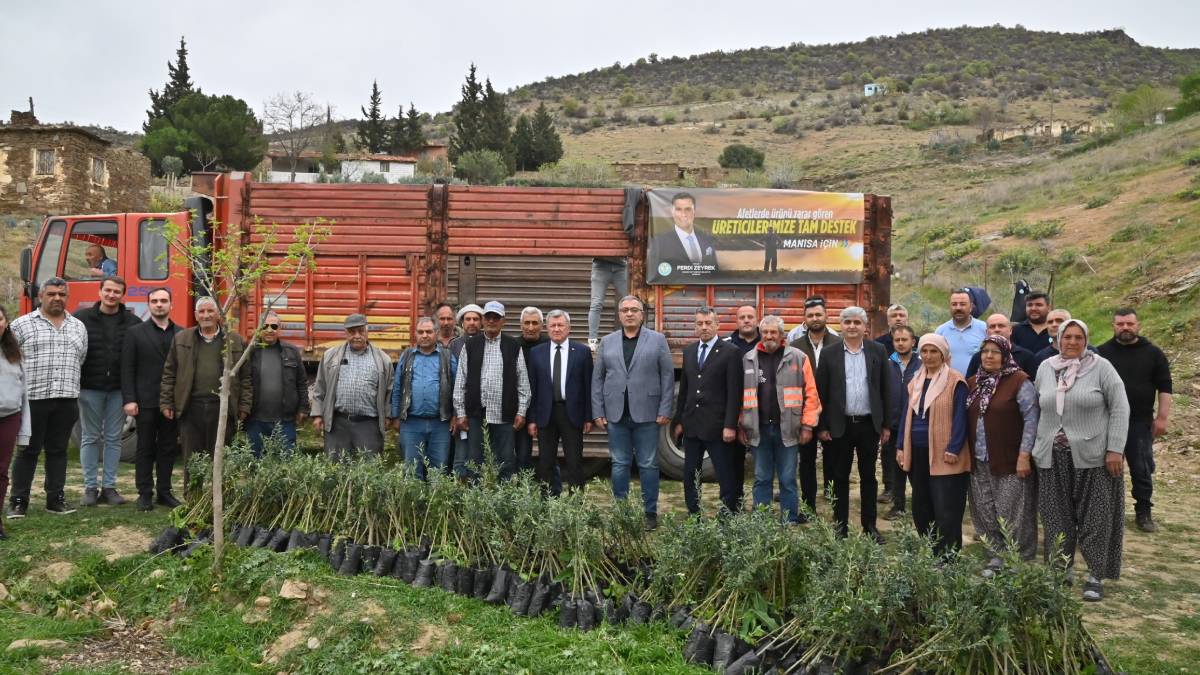 Yangın afetlerinin izleri siliniyor: 330 üreticiye, toplam 66 bin 580 adet zeytin ve ceviz fidanı teslim edildi